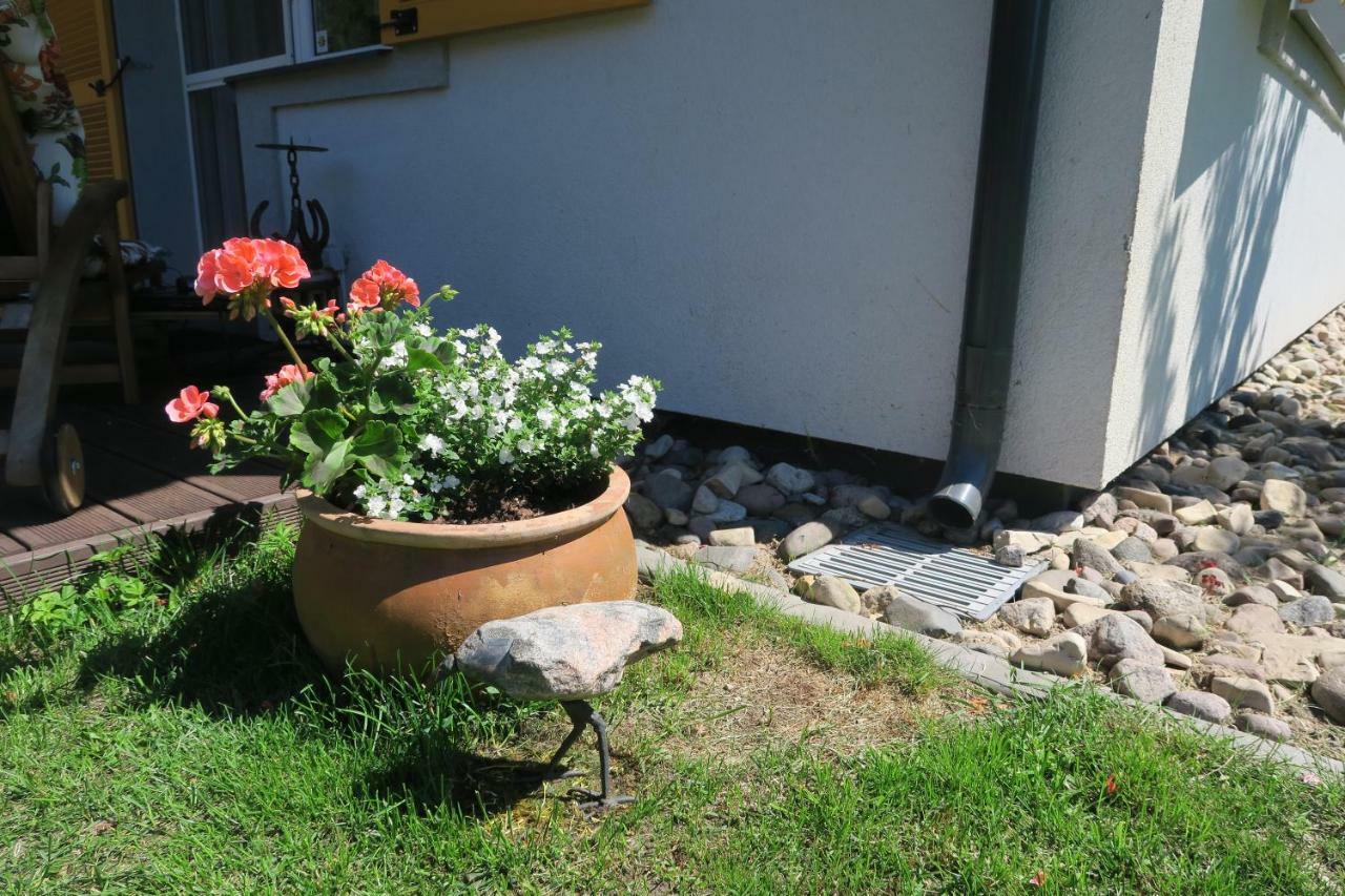 Apartmenti Zvejniekciema Saulkrasti Zewnętrze zdjęcie